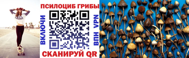 Псилоцибиновые грибы GOLDEN TEACHER  продажа наркотиков  Дигора 